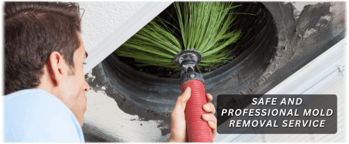 Air Duct Mold Removal in Sandy Springs
