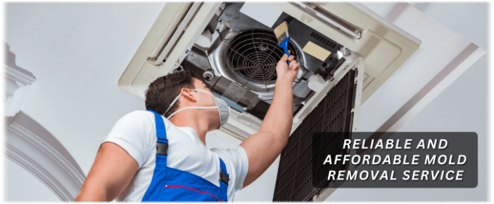 HVAC Mold Removal Sandy Springs